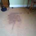 Why Do Old Carpet Stains Keep Coming Back? - A Comprehensive Guide