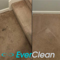 Does Carpet Stains Fade Over Time? - An Expert's Perspective