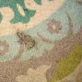 How to Soften Carpet and Remove Hard Water Stains Easily
