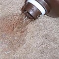Is Hydrogen Peroxide an Effective Carpet Stain Remover?