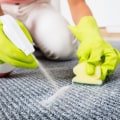 The Most Effective Carpet Stain Remover for Every Mess