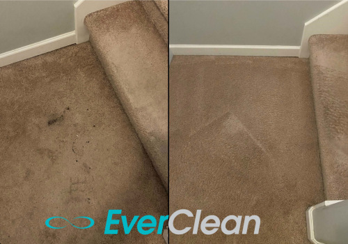 Does Carpet Stains Fade Over Time? - An Expert's Perspective